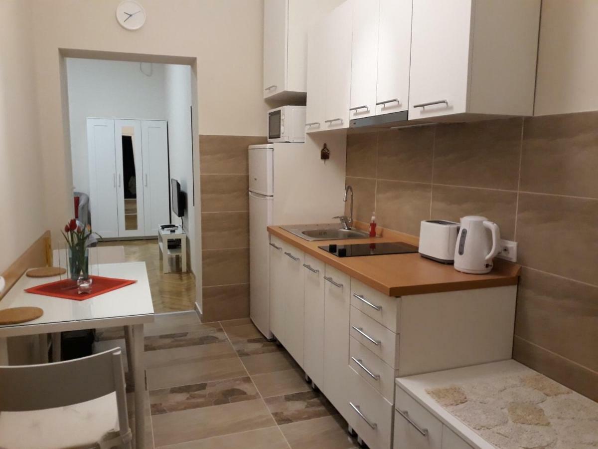 Belgrade 1911 Apartment Zewnętrze zdjęcie